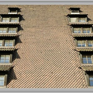 Dachfenster