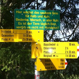 Schild