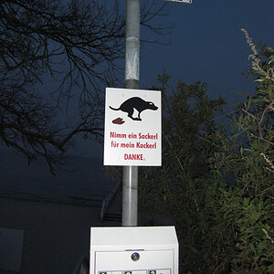 schild1
