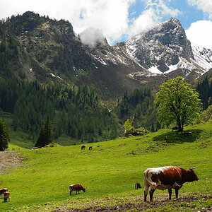 Von der Paulshütte im Großarltal aus aufgenommen