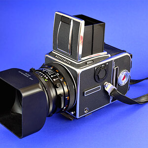 503 cxi hassi