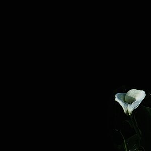 comp DSC 7143