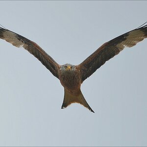 aacomp Extremadura 20120426 11207