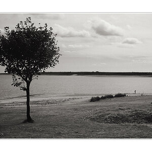 CollifordSC1
