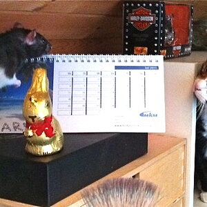 Minka (rechts) hat eine unheimliche Begegnung...