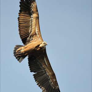 aacomp Extremadura 20120422 2034