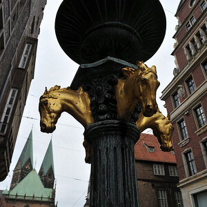 DSC 89280001