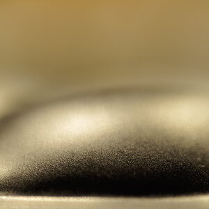 DSC 8554