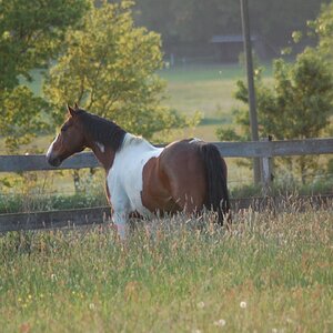 DSC 0350 1