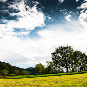BlackForest_02