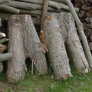 29.04.2012 "Holzhosen"