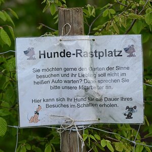 Hunderastplatz