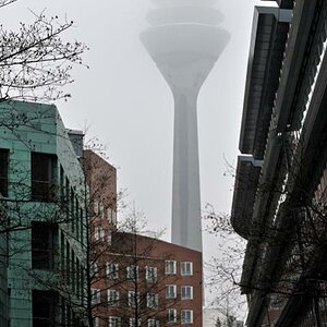 DSC7646 111