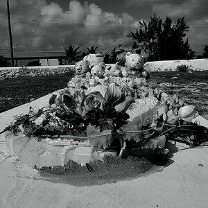 DSC 0346bw