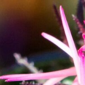 Hintergrund4