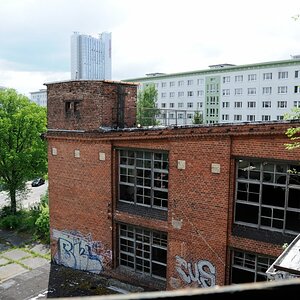 DSC 0702