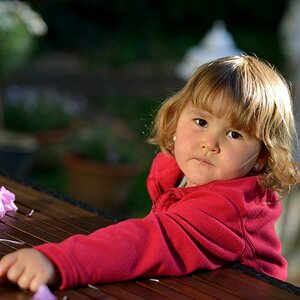 c DSC 0064 355
