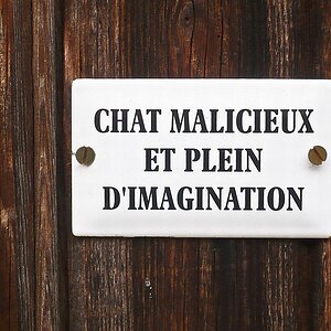 CHAT MALICIEUX