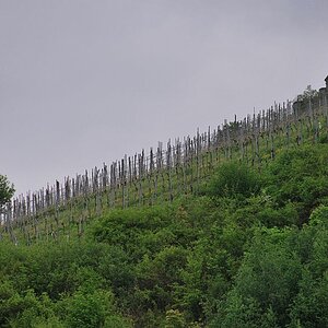 DSC 0006