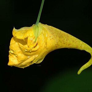 Rührmichnichtan