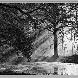 Morgenlicht