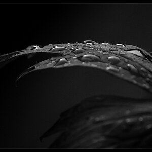 DSC 3884 01 a