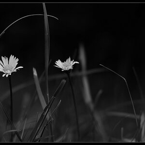 DSC 3909 01 a