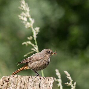 20120608 0775 [E M5] 300 mm,1 250 Sek. bei ƒ   8,0 2