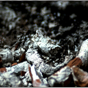 Brand