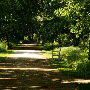 Schloßpark Natur 2012 05 20 45