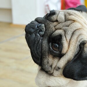2012 06 08 2953  D300sA