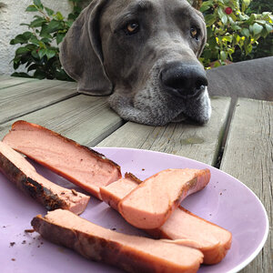 hundegrillen2