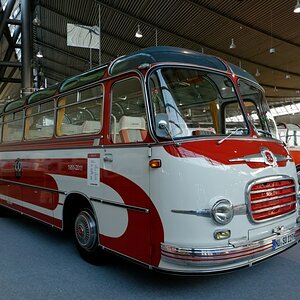 Bus