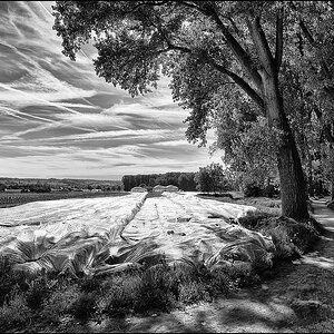 comp DSC 7189 bis 7192 SW