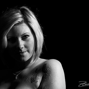 DSC 7005
