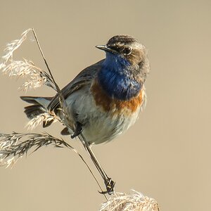 20120526 8444 [NIKON 1 V1] 850 mm,1 320 Sek. bei ƒ   6,3 Bearbeitet 2