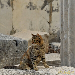 300 1716af:  Ephesus, Türkei