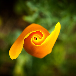 20120613  DSC7439