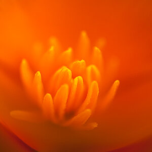 20120613  DSC7472