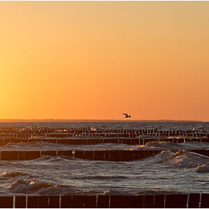 sonnenuntergang in Koserow