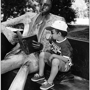 Der Leser