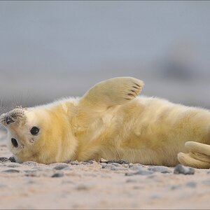 aacomp Helgoland 20120102 12004