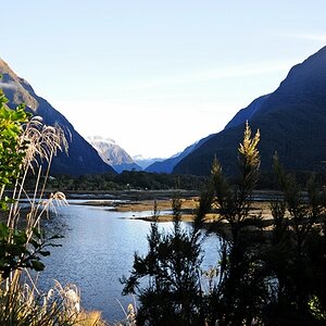 Milford Sound