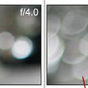 Photozone4