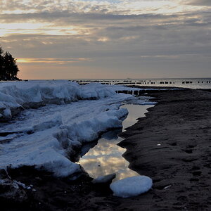 Ein Winterbild im Januar