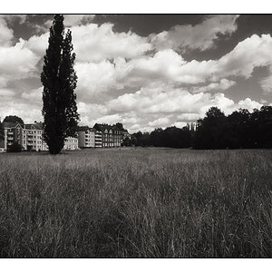 Mechtenberg2