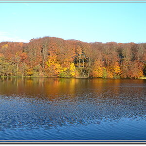 Insel Rügen - Herbst (3)