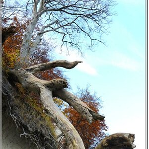 Insel Rügen - Herbst 2011 (4)