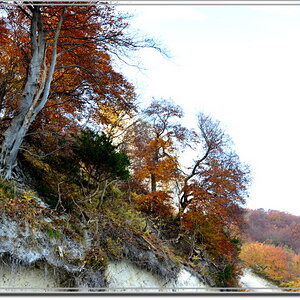 Insel Rügen  - Herbst 2011 (5)