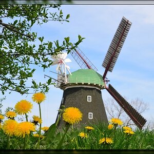 Mühle in Meckl-/Vorpommern - DSC 3007